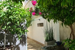 IMG_20230731_125557